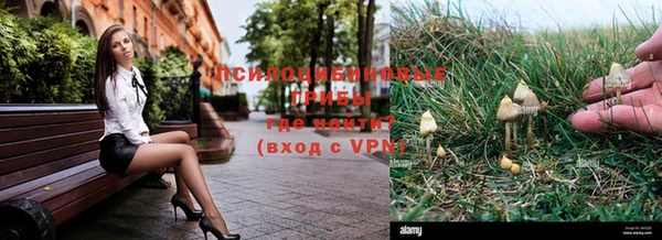 a pvp Абаза